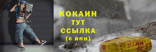 гашик Магас